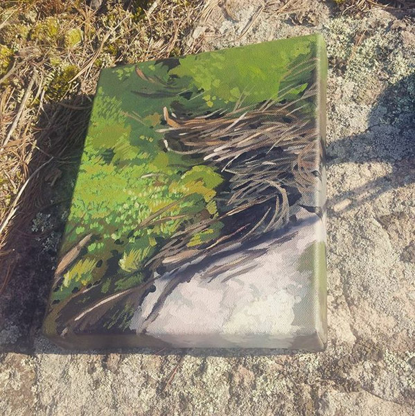 Moss. Painted at Big Bald Lake, Ontario, in July 2017. The canvas is a deep edge, so it's painted all the way around. I wanted to try something different, so I painted the moss! SOLD. 8x11 inches.