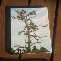 painting_treetop Image