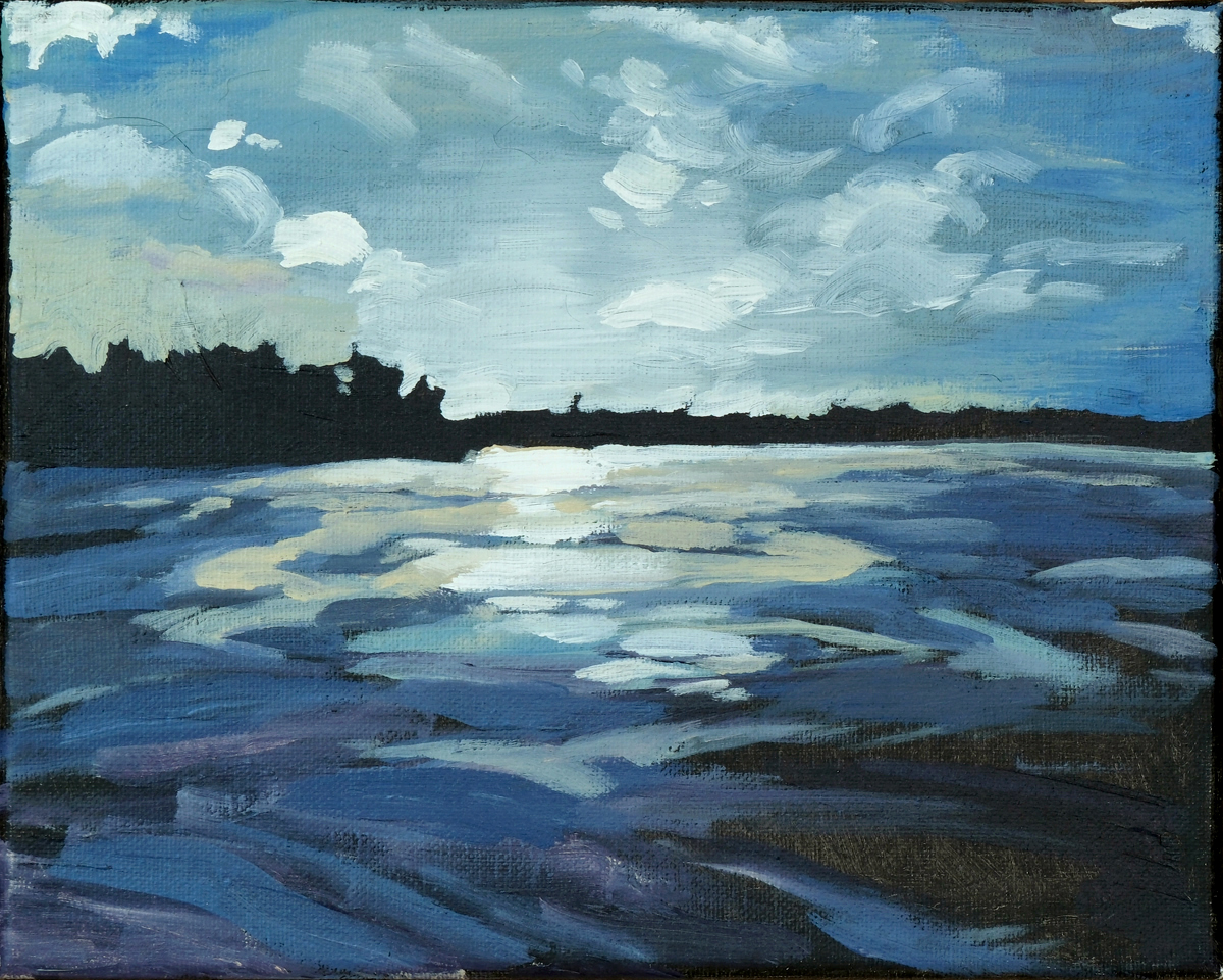 Ice Field Reflections