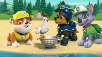 Paw Patrol Image