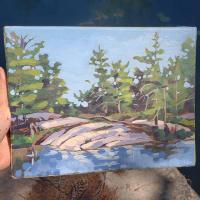 Painted at Big Bald Lake, Ontario, in June 2018. SOLD. 11x8 inches.