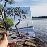 Gnarled tree. Painted at Muskoka Lake, Ontario, in September 2018. $130. 8x11 inches.